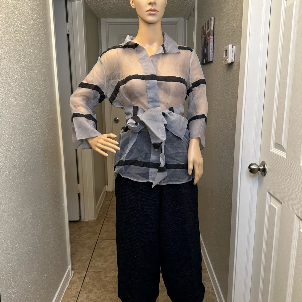 Jarbo belted organza blouse silver stripe Sz 1 NWT Retail: $ 438 - Picture 8 of 15